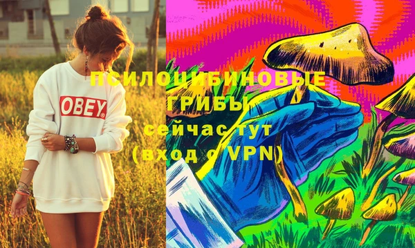 apvp Михайловск