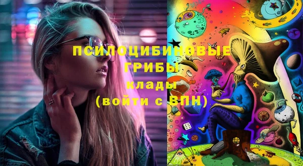 мдпв Надым