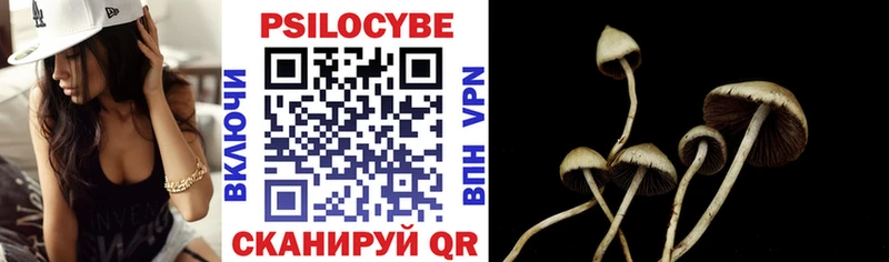 Галлюциногенные грибы Psilocybe  Звенигово 